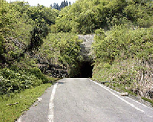 �����q���o����