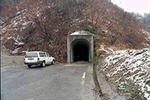 �L�_�����o����