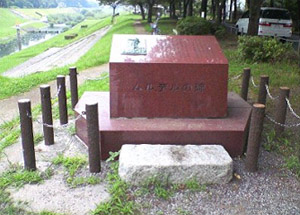 �^�͐��ӌ����ɂ��郀���f���̔�