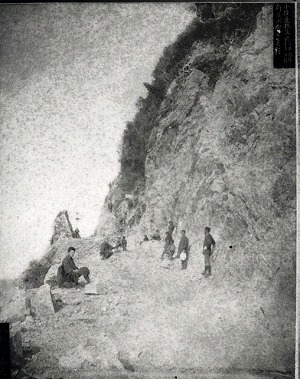 ����15�`16�N�����̓V�Ӄg���l��������y�t��