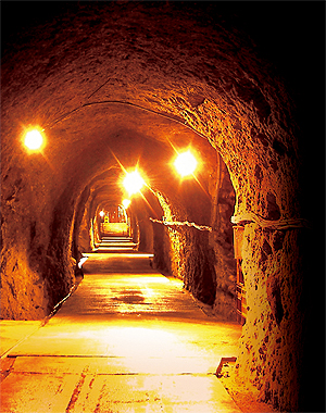 東京動力機械製造株式会社地下工場跡