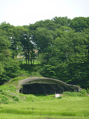 ���F�s�{��s�ꉆ�̍�