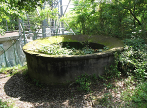 �G�R�h��Ď���