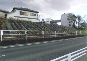 �S���֘U���