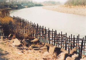 ���[�����Y�o�������H