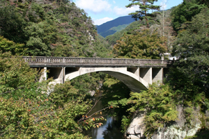 ���K���S�i