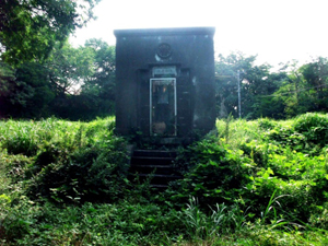 ���q�z���r