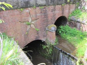 ���搅���i�������j