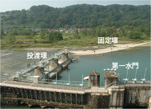 �摜�F�ʐ^�P�@�H���搅���i�S�́j