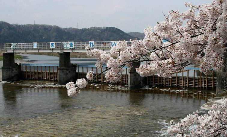 �摜�F�ʐ^�Q�@���n��