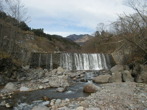 �摜�F��א��P�P���h����