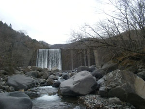 �摜�F��א��P�Q���h����