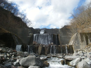 �摜�F��א��P�R���h����