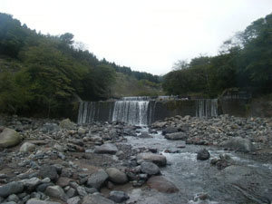 �摜�F���c�򍻖h����