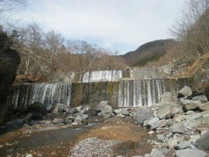 �摜�F��א��S���h����