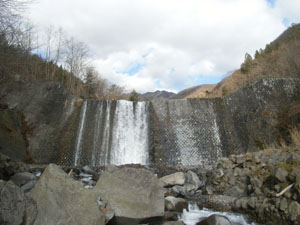 �摜�F��א��T���h����