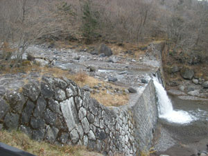 �摜�F��א��U���h����