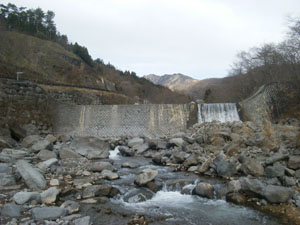 �摜�F��א��V���h����