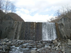 �摜�F��א��X���h����