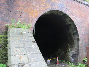 �摜�F�����B��