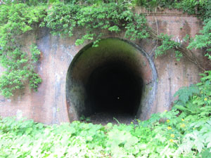 �摜�F�����B��