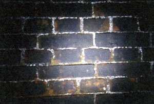 �摜�F�g���l���̓����Q