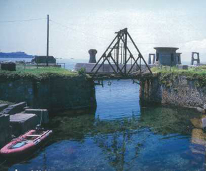 �摜�F��ԍ`�D��