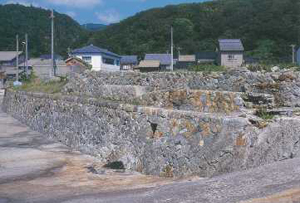 �摜�F��ԍ`�l���΁i�������j�H�@�̌�݁E����