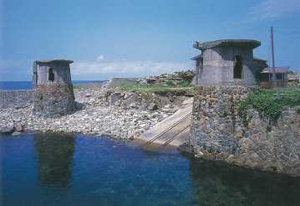 �摜�F��ԍ`�N���[������O��