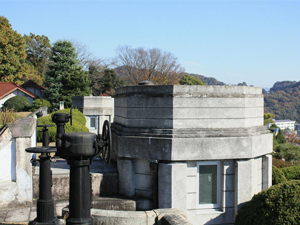 �摜�F�Β��z���� �z���r�̓���