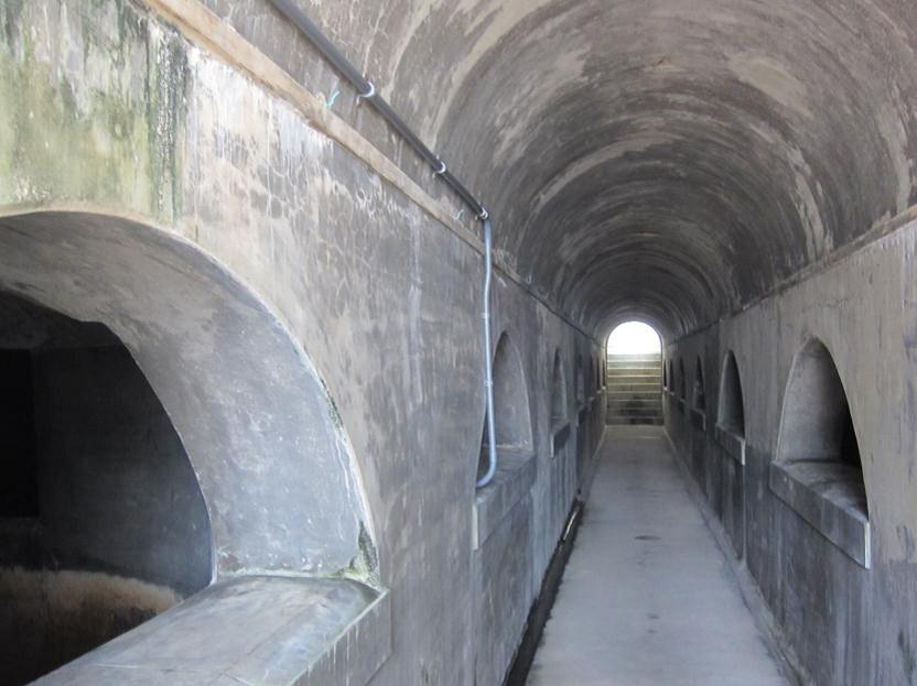 �摜�F�z���r�̓���