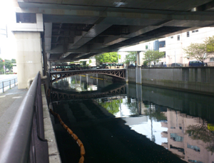 �摜�F�J�ˋ�(�E�����������X�X)