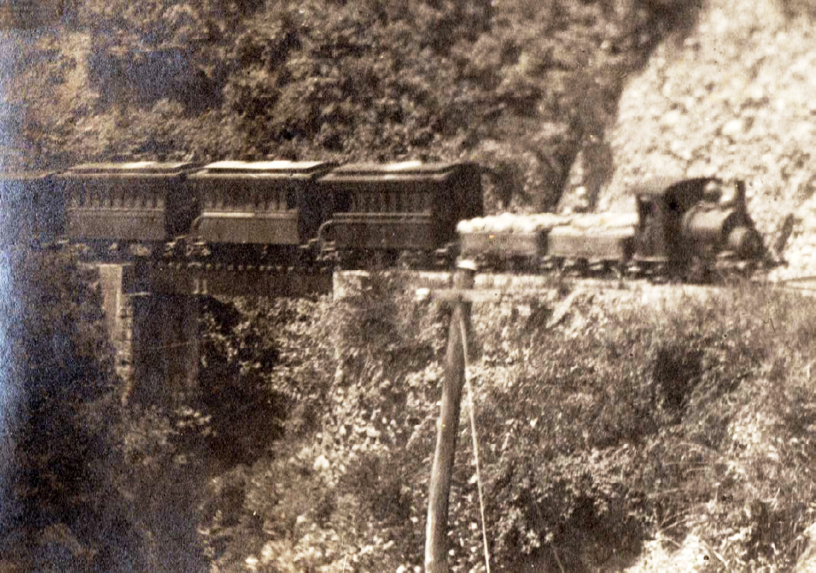 �摜�F�y�����̎ʐ^�z