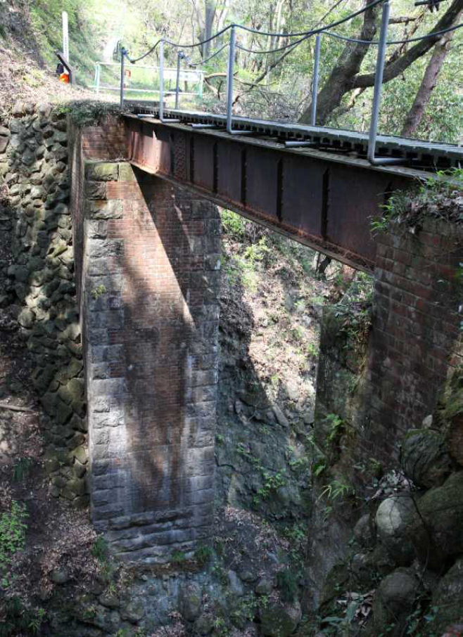 �摜�F�ʐ^�@�S���򋴗��̌��݂̗l�q