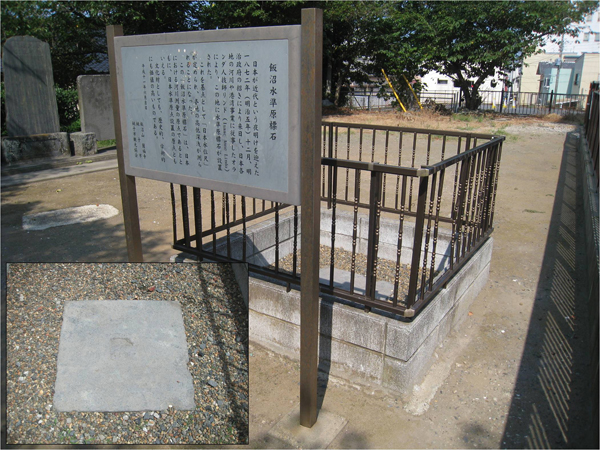 �摜�F�я��������W��