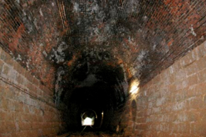 �摜�F�G�}���g���l��