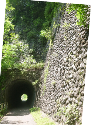 �摜�F�H���Օ��g���l��