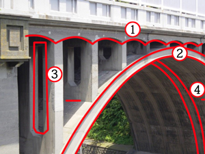 �摜�F����