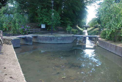 �摜�F�{������S�i�i���ʂ���j