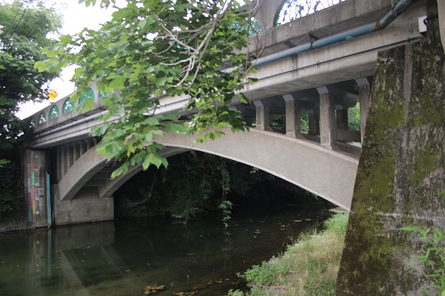 �摜2�F���������E��