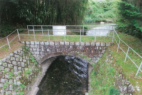 �摜�F�ʐ^�W�@������d��c�@�����H�������y�ъǗ��p�ʘH�̃A�[�`��