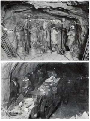 �H�����̎ʐ^2��