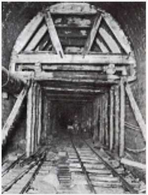 �H�����̎ʐ^3����