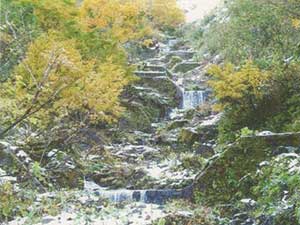 日影沢中流域床固工の写真