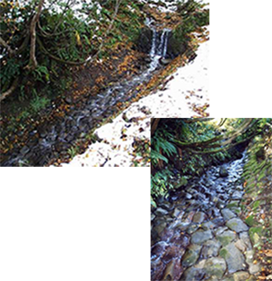 クズレ沢斜路工の写真