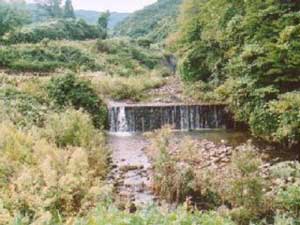 万内川三号堰堤の写真