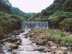 万内川十号堰堤の写真