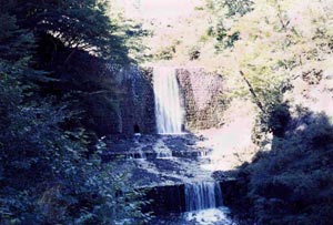 �䒺�g�쉁��Q�|��������