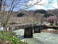 幾春別橋