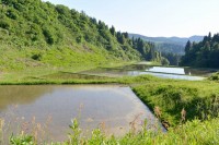 ߘa6NxNxIIO[v  <br>\OPnɂIcĐ